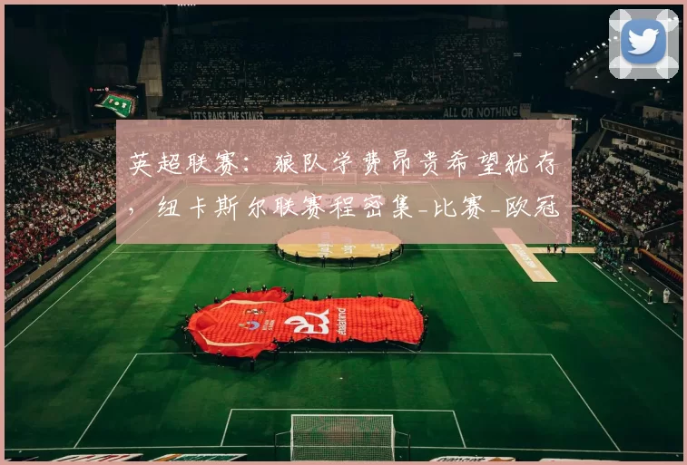 英超联赛：狼队学费昂贵希望犹存，纽卡斯尔联赛程密集_比赛_欧冠_欧洲足联欧洲联赛