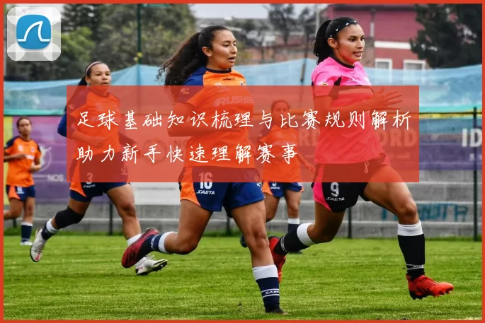 足球基础知识梳理与比赛规则解析助力新手快速理解赛事