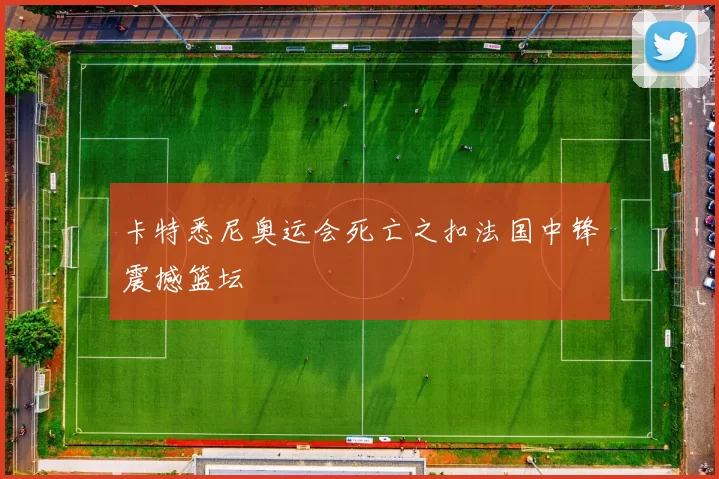 卡特悉尼奥运会死亡之扣法国中锋震撼篮坛