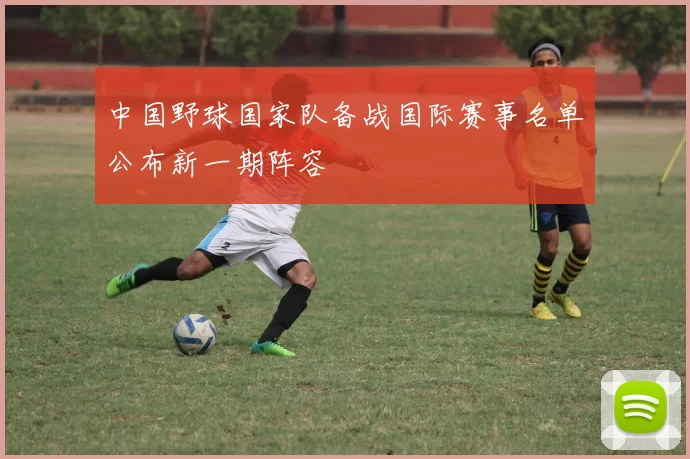 中国野球国家队备战国际赛事名单公布新一期阵容