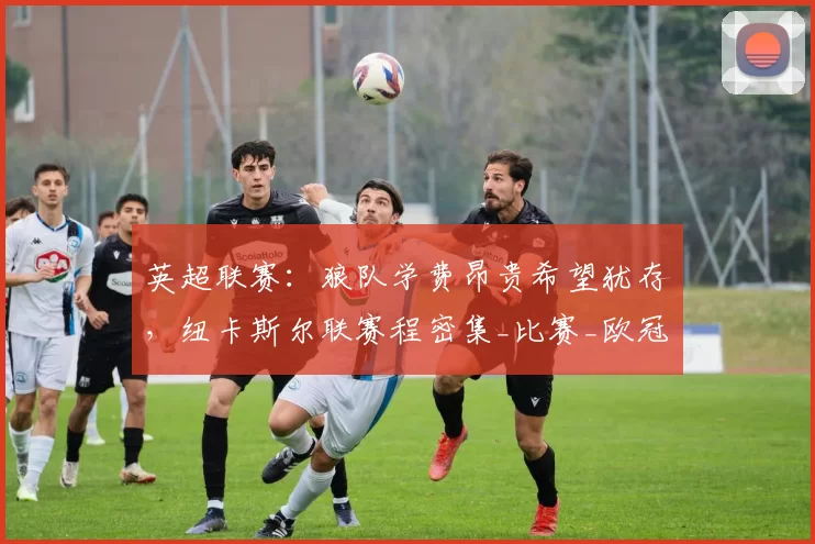 英超联赛：狼队学费昂贵希望犹存，纽卡斯尔联赛程密集_比赛_欧冠_欧洲足联欧洲联赛