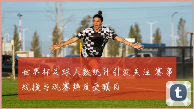 世界杯足球人数统计引发关注 赛事规模与观赛热度受瞩目
