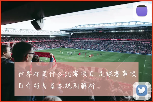世界杯是什么比赛项目 足球赛事项目介绍与基本规则解析