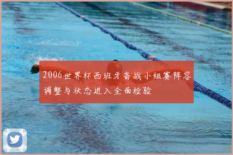2006世界杯西班牙备战小组赛阵容调整与状态进入全面检验