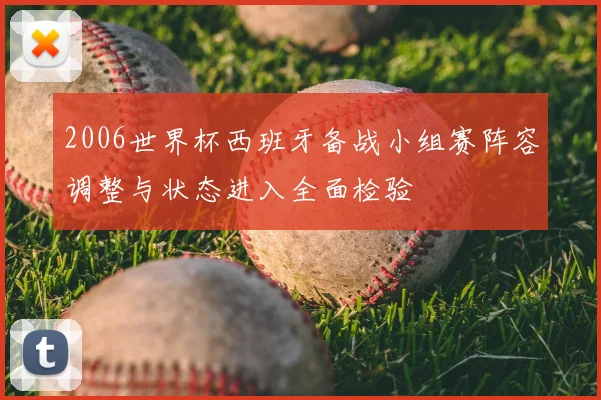 2006世界杯西班牙备战小组赛阵容调整与状态进入全面检验