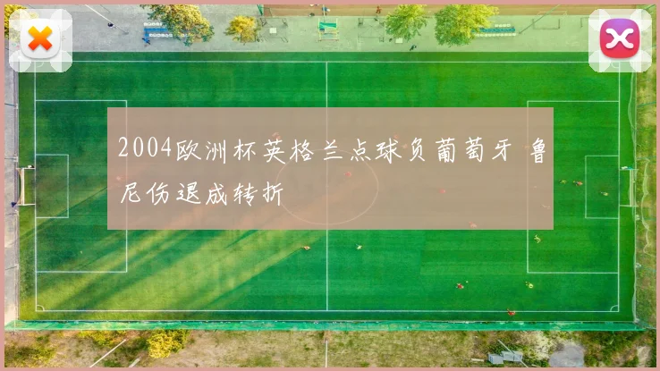 2004欧洲杯英格兰点球负葡萄牙 鲁尼伤退成转折