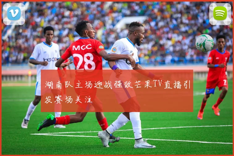 湖南队主场迎战强敌芒果TV直播引发赛场关注
