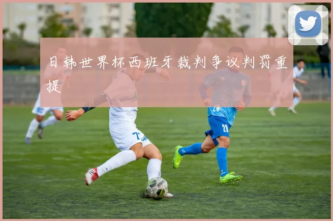 日韩世界杯西班牙裁判争议判罚重提