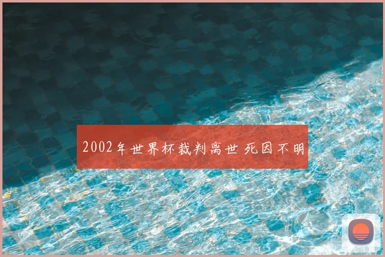 2002年世界杯裁判离世 死因不明